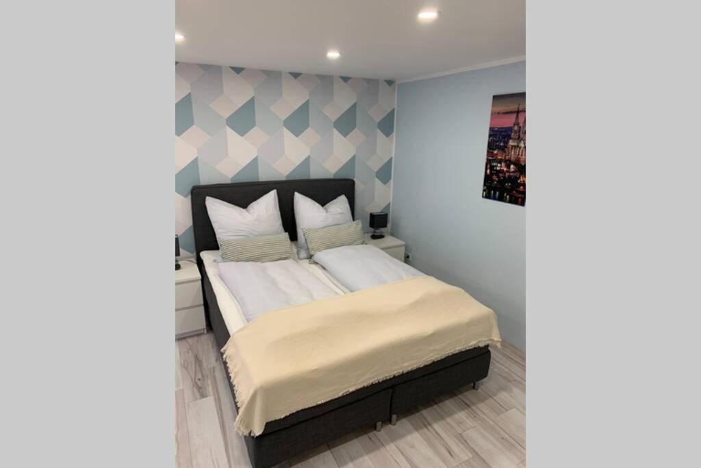 Modern Renovated Apartment Suited For Business Consultants - In Close Distance To Dt, Dhl And Un Campus - Reserved Parking Bonn Ngoại thất bức ảnh