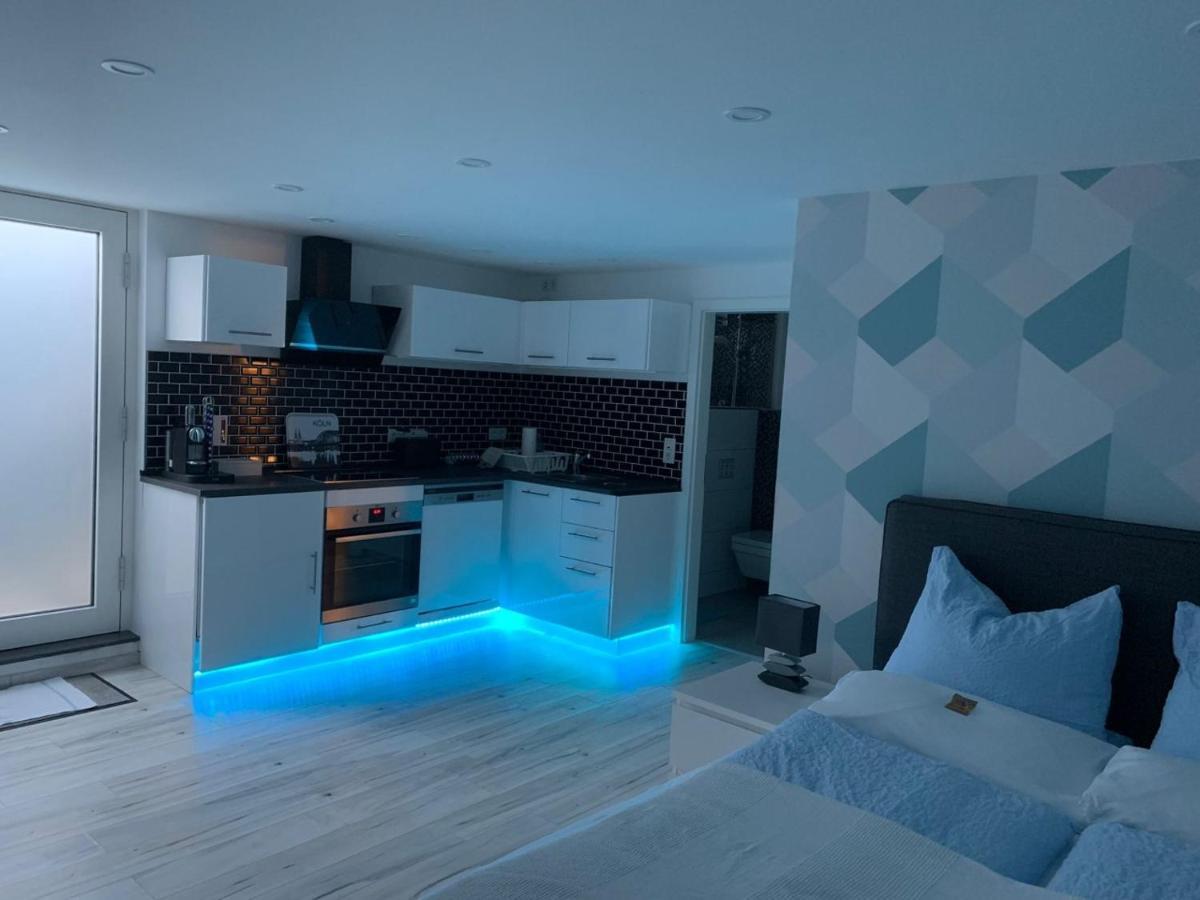 Modern Renovated Apartment Suited For Business Consultants - In Close Distance To Dt, Dhl And Un Campus - Reserved Parking Bonn Ngoại thất bức ảnh